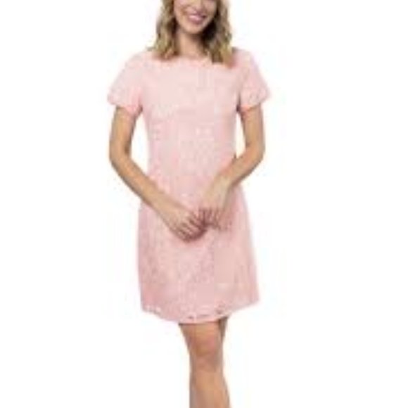 Julie Brown NYC Everest Dress Blush Lace Pink 2 - Picture 6 of 6